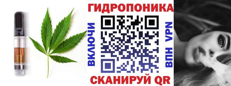 Купить где  Зеленогорск  Cannafood конопля 