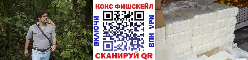 COCAIN Fish Scale Купить Зеленогорск