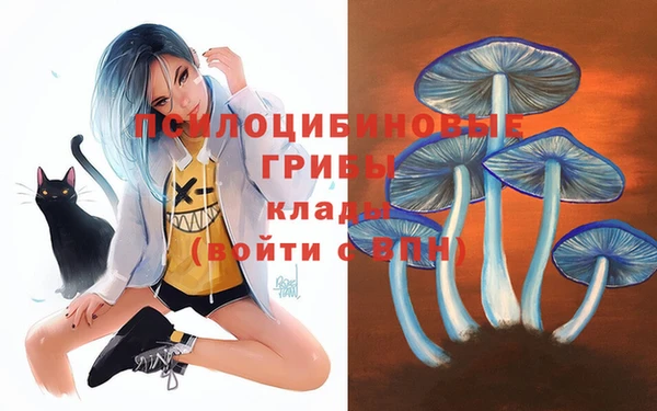 МДПВ Алапаевск